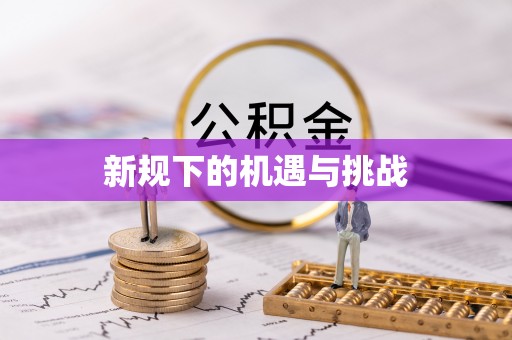 庄浪新规下的机遇与挑战