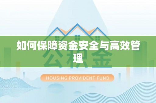 庄浪如何保障资金安全与高效管理