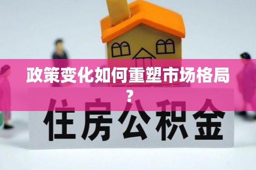 庄浪政策变化如何重塑市场格局？