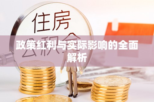 庄浪政策红利与实际影响的全面解析