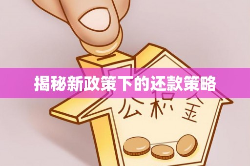 庄浪揭秘新政策下的还款策略