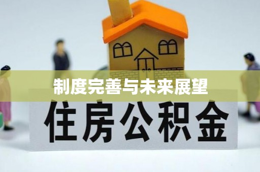 庄浪制度完善与未来展望