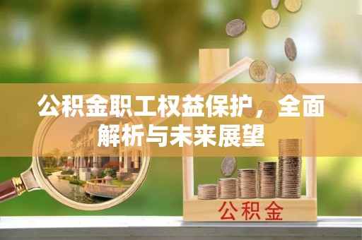 庄浪公积金职工权益保护，全面解析与未来展望