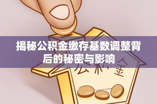 庄浪揭秘公积金缴存基数调整背后的秘密与影响