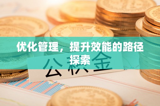 庄浪优化管理，提升效能的路径探索