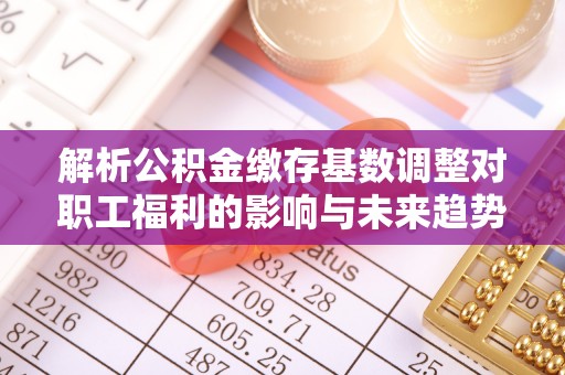 庄浪解析公积金缴存基数调整对职工福利的影响与未来趋势