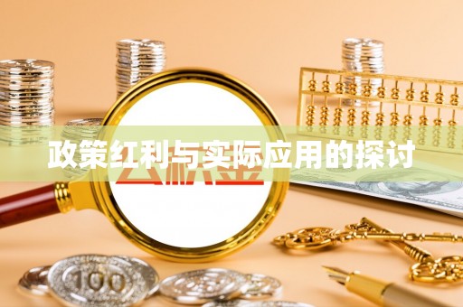 庄浪政策红利与实际应用的探讨