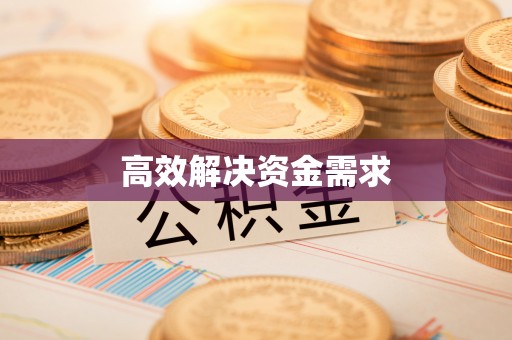 庄浪高效解决资金需求