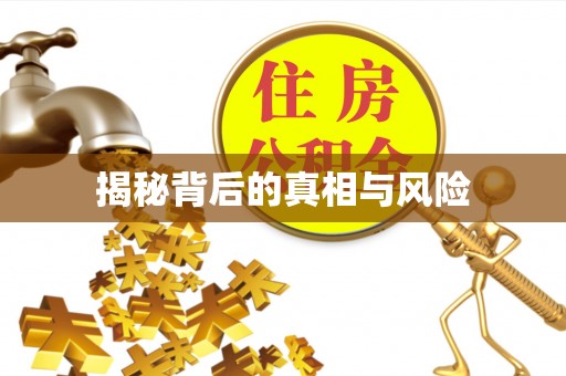 庄浪揭秘背后的真相与风险