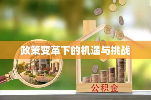 庄浪政策变革下的机遇与挑战