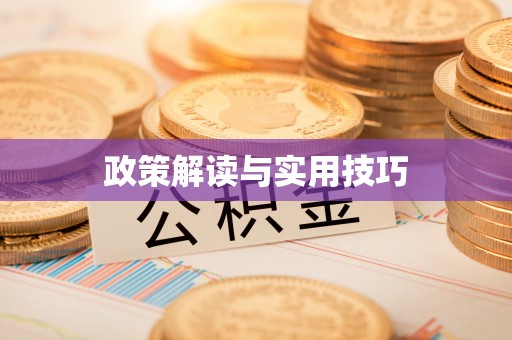 庄浪政策解读与实用技巧