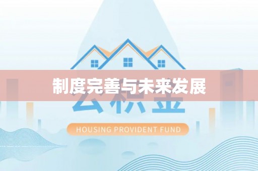 庄浪制度完善与未来发展