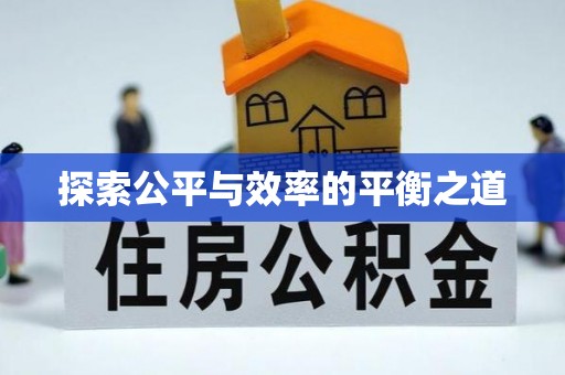 庄浪探索公平与效率的平衡之道