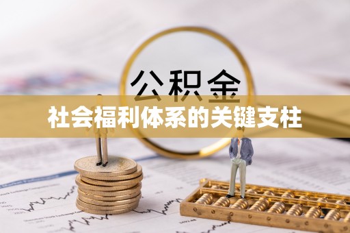 庄浪社会福利体系的关键支柱