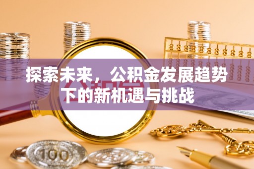 庄浪探索未来，公积金发展趋势下的新机遇与挑战