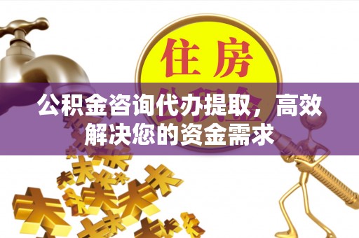 庄浪公积金咨询代办提取，高效解决您的资金需求