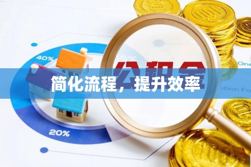 庄浪简化流程，提升效率