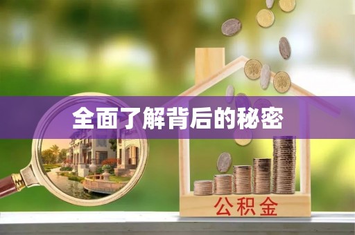 庄浪全面了解背后的秘密