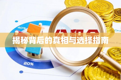 庄浪揭秘背后的真相与选择指南