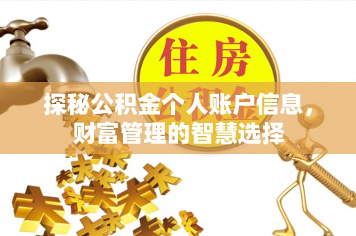 庄浪探秘公积金个人账户信息，财富管理的智慧选择