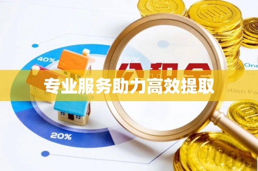 庄浪专业服务助力高效提取