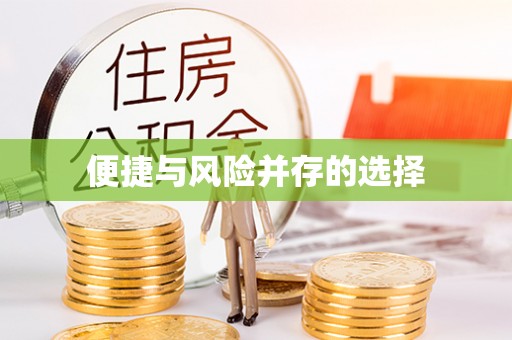 庄浪便捷与风险并存的选择