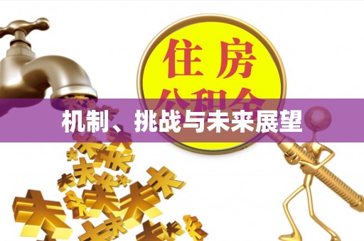 庄浪机制、挑战与未来展望