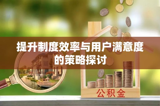 庄浪提升制度效率与用户满意度的策略探讨