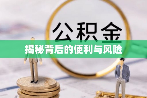 庄浪揭秘背后的便利与风险