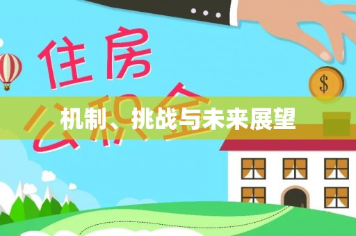 庄浪机制、挑战与未来展望
